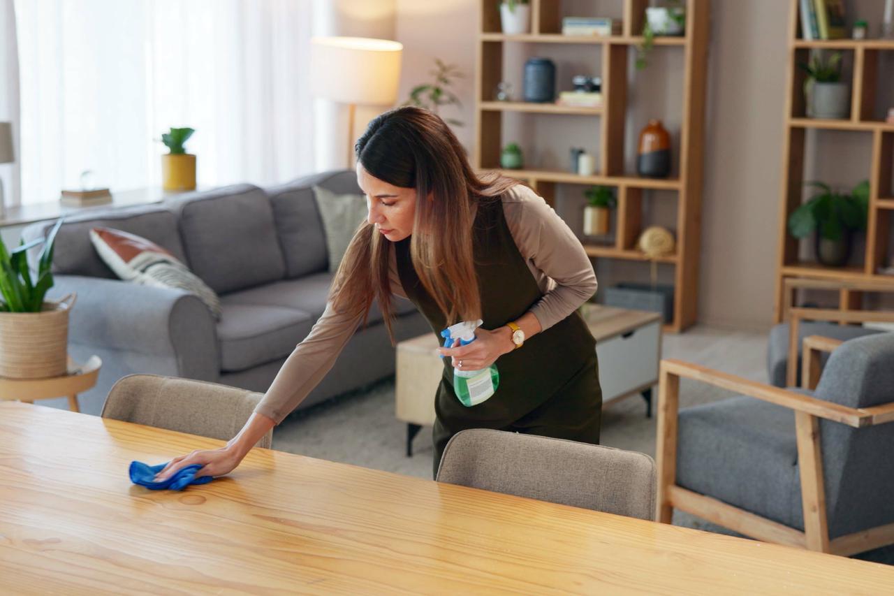 Proljetno čišćenje