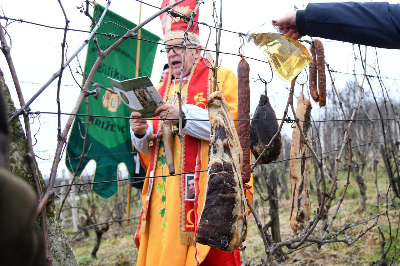 Održano Vincekovo narodni običaj posvete loze prema Križevačkim štatutuma