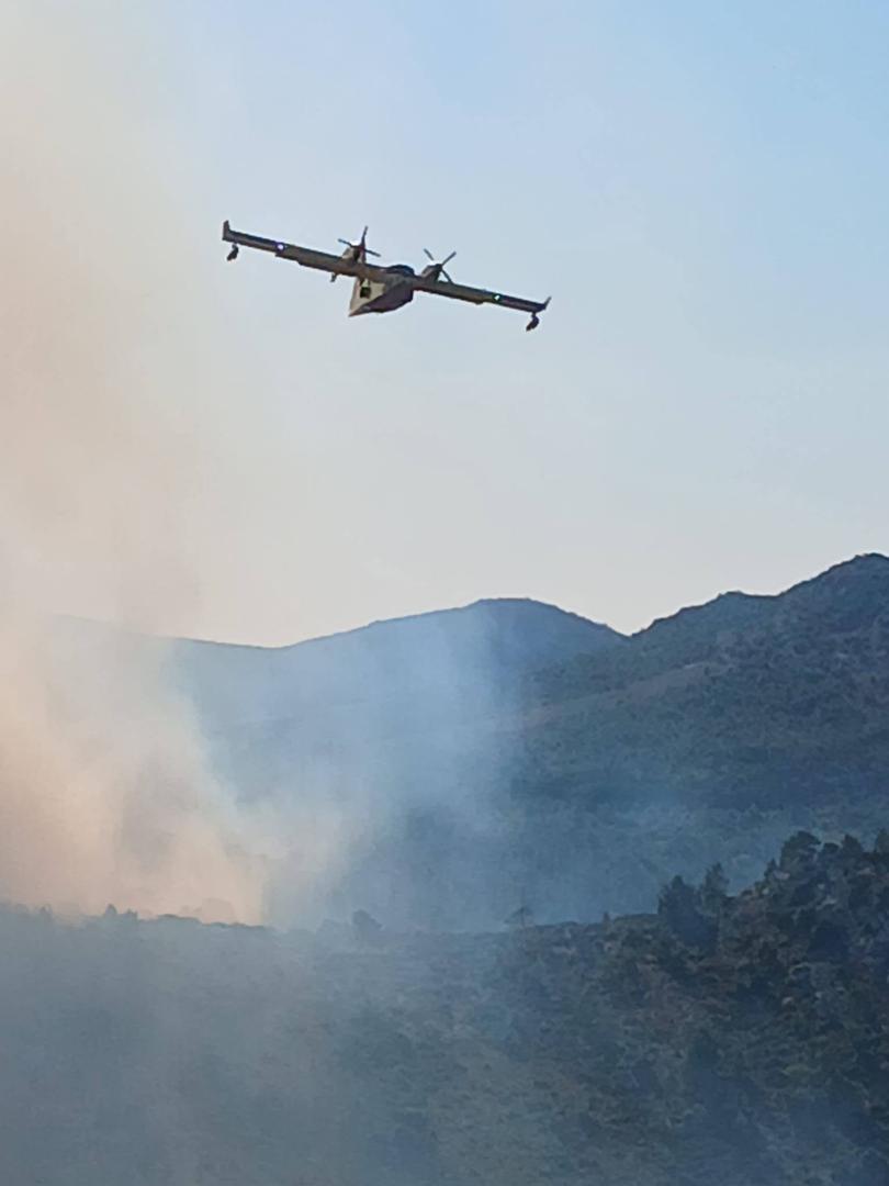 U jutarnjim satima na požarište je upućen jedan protupožarni zrakoplov Canadair. Također su upućene vatrogasne snage s kopna kao ispomoć - 15 vatrogasaca i dva vatrogasna vozila iz OP Sinj i Imotski Prema riječima županijskog vatrogasnog zapovjednika Ivana Kovačevića, stanje na požarištu je dobro, a vatrogasci nastavljaju sa sanacijom. 
