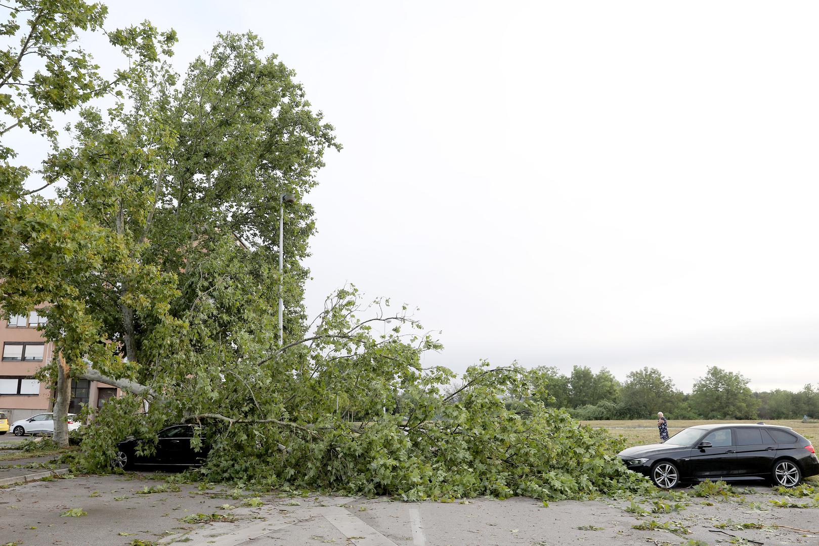 20.07.2023., Zagreb - Posljedice oluje koja je jucer poharala Zagreb i veliki dio Hrvatske i danas se vide na ulicam grada. Sve sluzbe nastavljaju raditi na rasciscavanju. Photo: Patrik Macek/PIXSELL