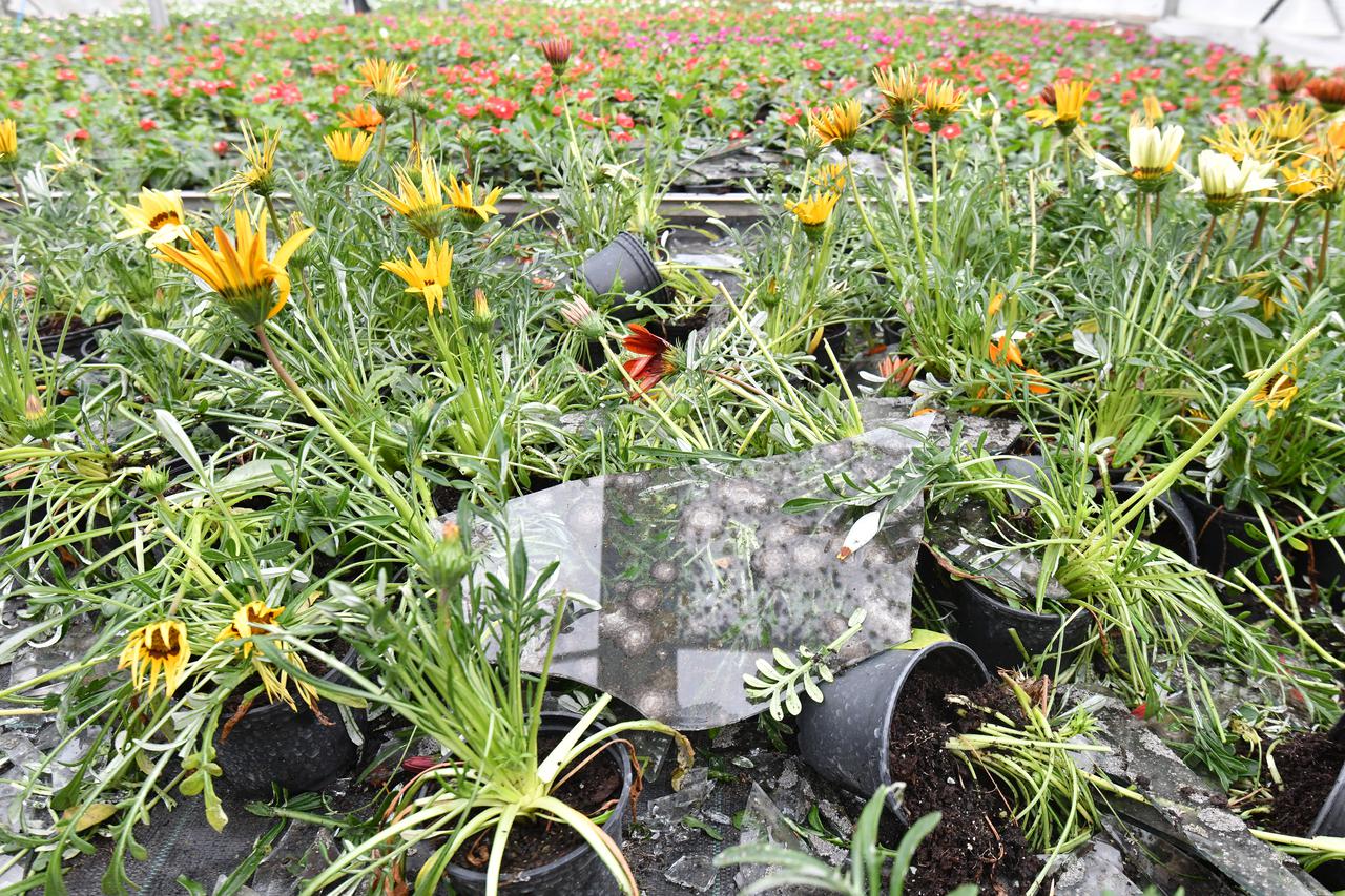 Mještani još zbrajaju razmjere štete koju je tuča nanijela jučer u Velikom Bukovcu 