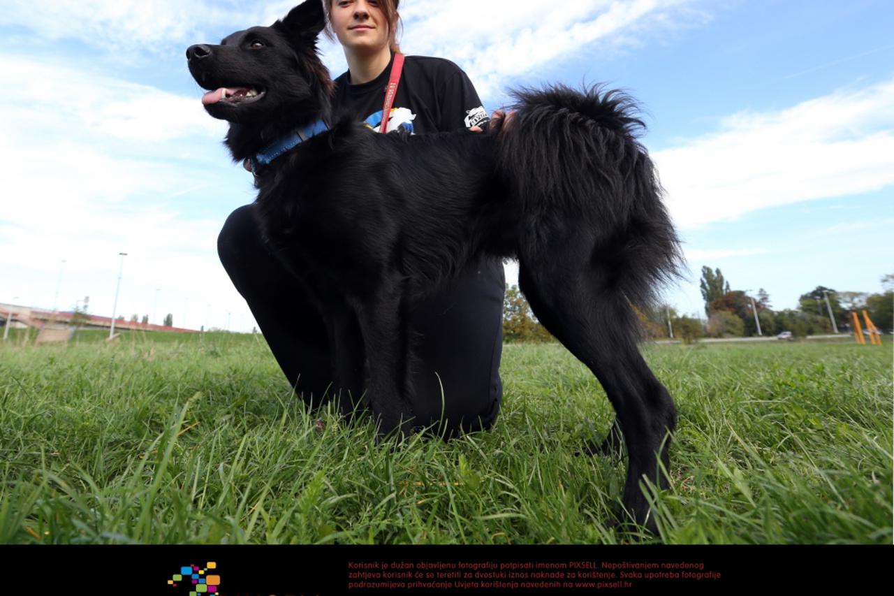 hrvatski ovčar, Mawlch Ris (1)