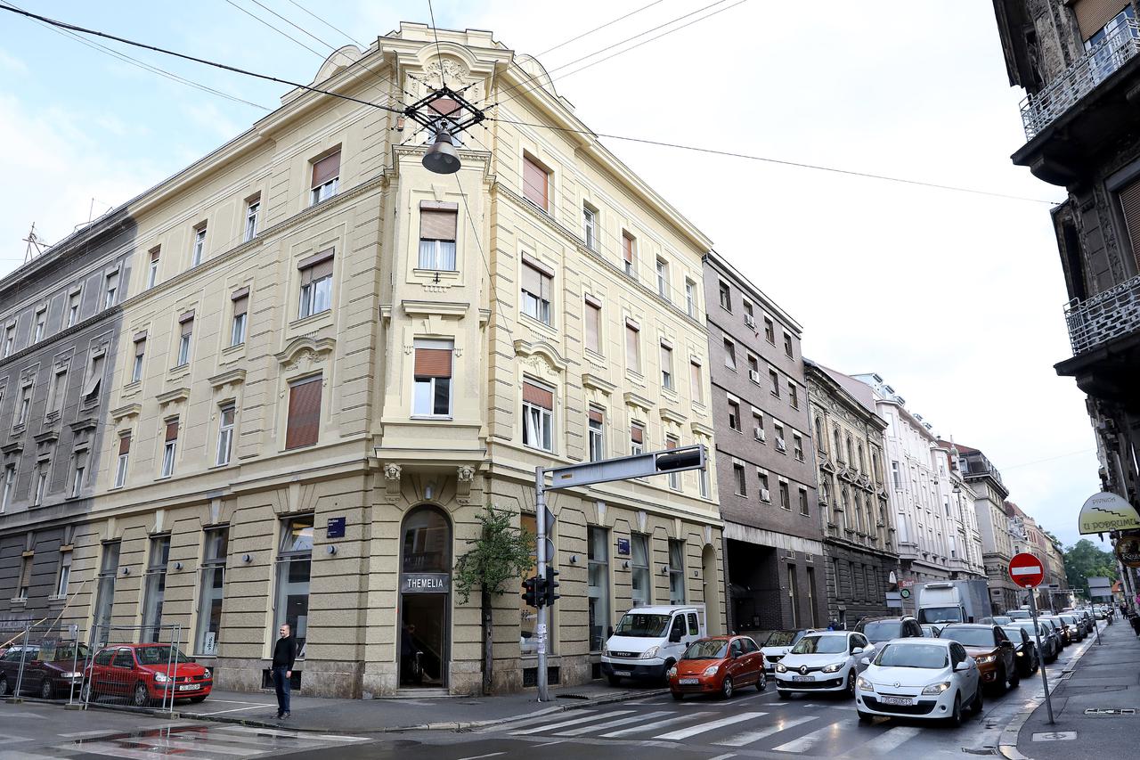 Zagreb: Stablo okruženo asfaltom već desetljećima raste u Palmotićevoj