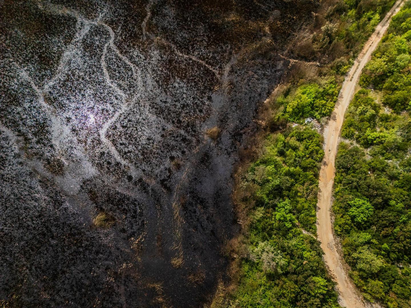 Požar koji je u ponedjeljak popodne planuo u zaštićenom ornitološkom rezervatu Orepak, u dolini Neretve, ugašen je u noći na utorak, a naporima vatrogasaca u gašenju vatre pripomogla je i kiša, izvijestio je zapovjednik Javne vatrogasne postrojbe Metković Jure Pilj.