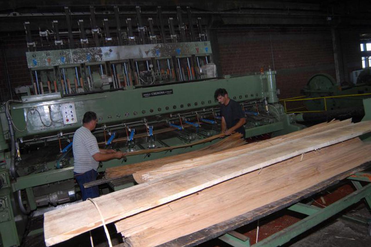 drvna industrija,drvo