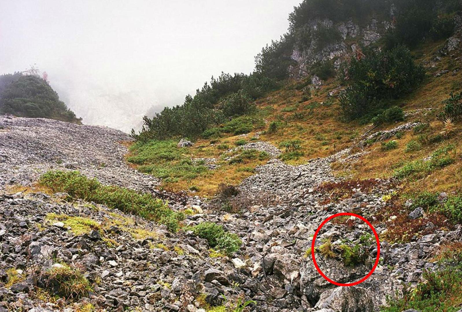 Njemački vojnici su izuzetno vješti u skrivanju, što je zabilježio umjetnik Simon Menner u fotogaleriji vojnika savršeno prikrivenih u prirodi.