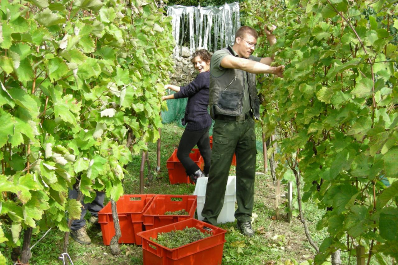 '                               '