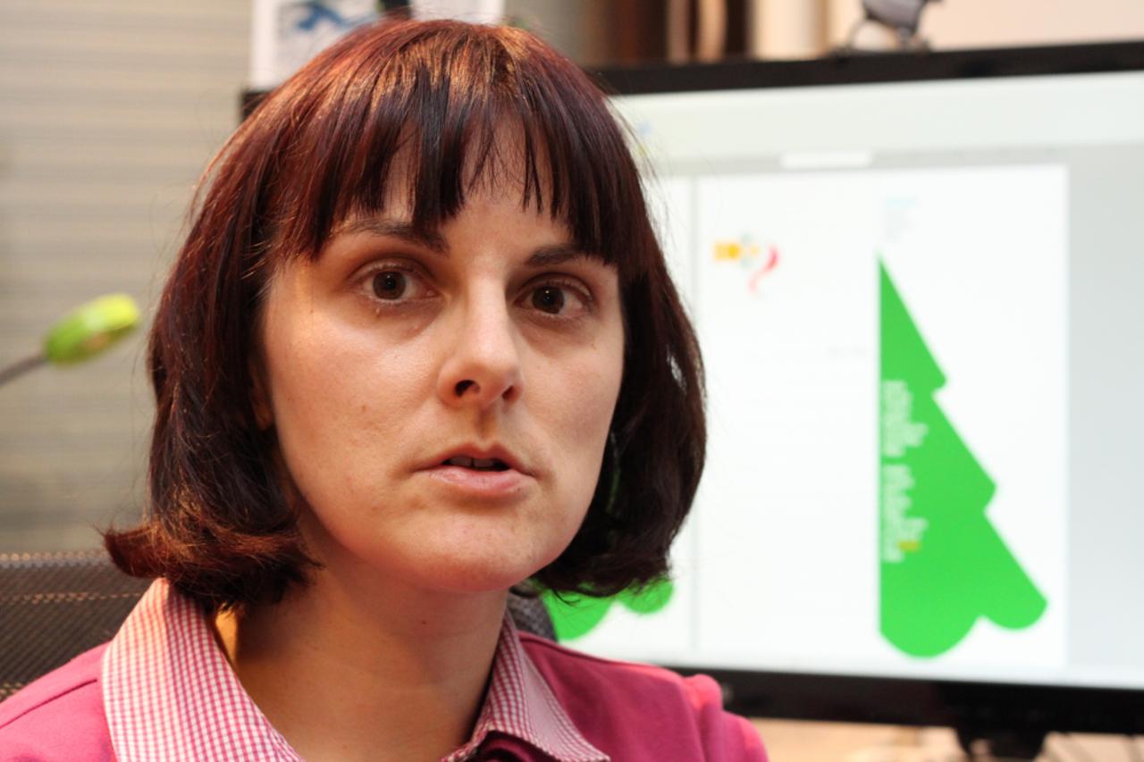 karin werner klement