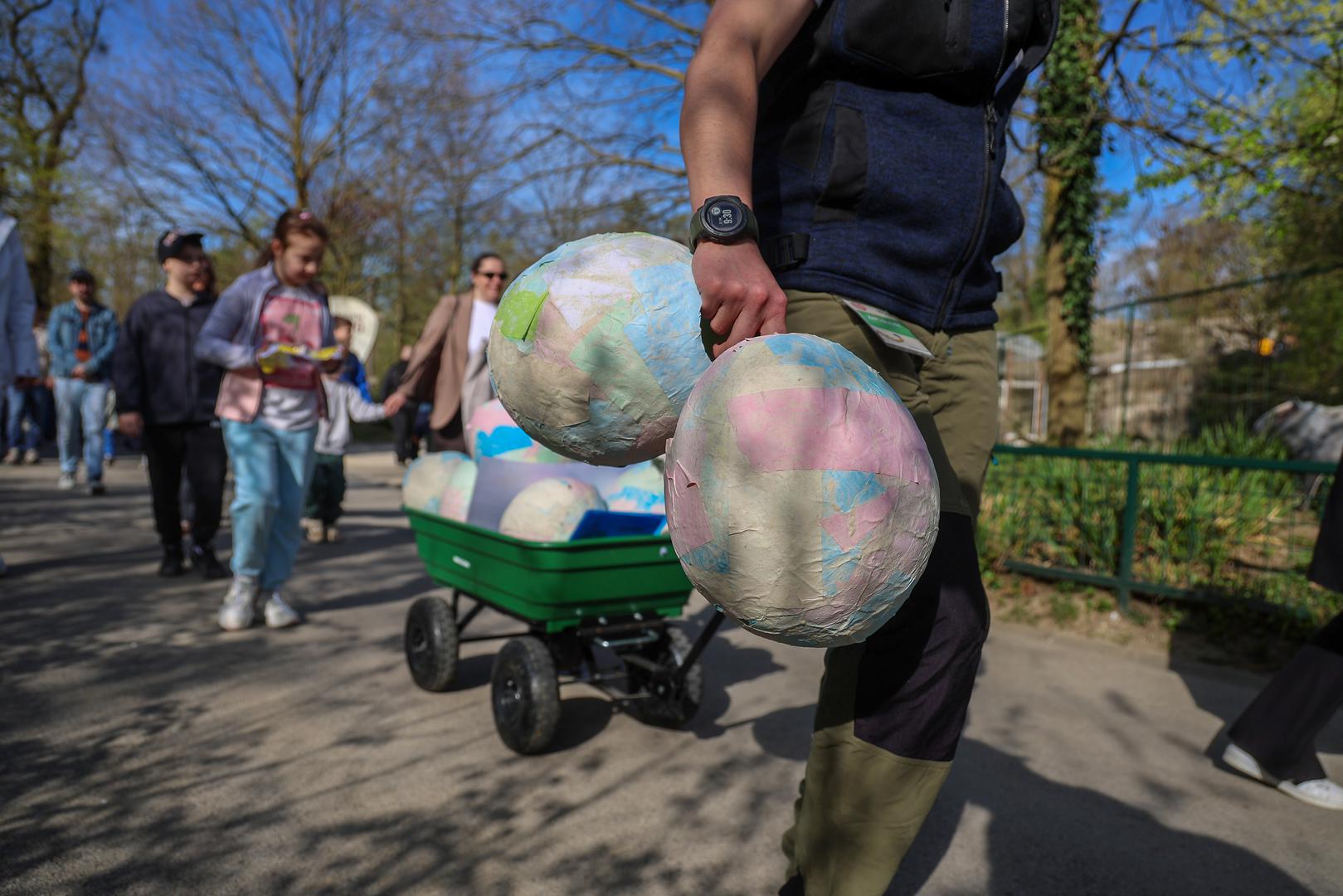 "Većina životinja sjajno je reagirala na pisanice, a one kojima je doručak poslužen prerano, u njemu će uživati kad im se probudi apetit", kazala je Marija Starčević, edukatorica u Zoološkom vrtu Grada Zagreba.