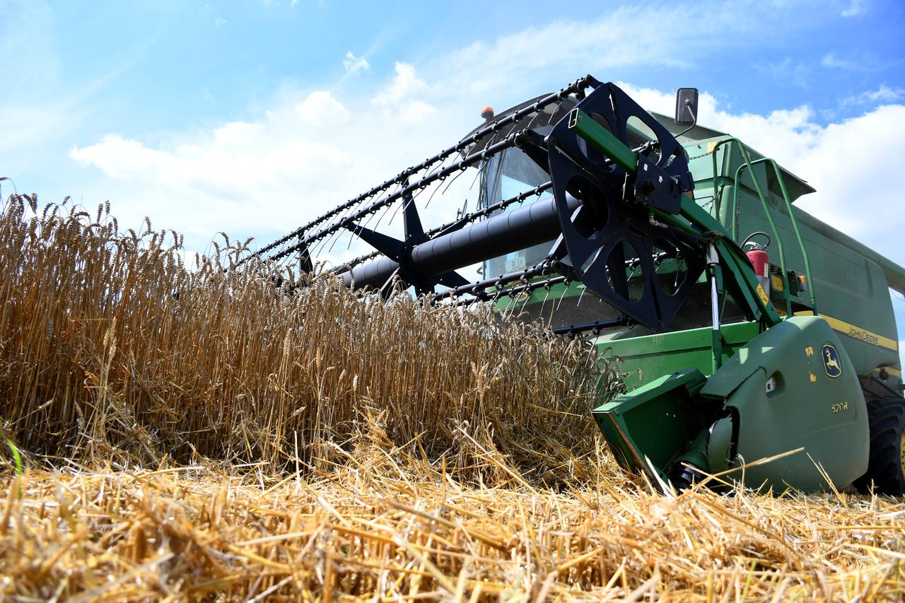 Na bilogorskim poljima počela sezona žetve pšenice