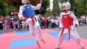 Hrvatski sport ima talente, ali nema novca ni stručnjaka da ih zadrži