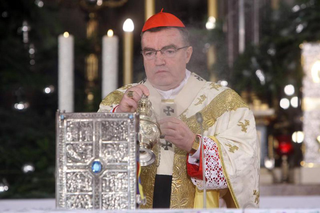 Josip Bozanić