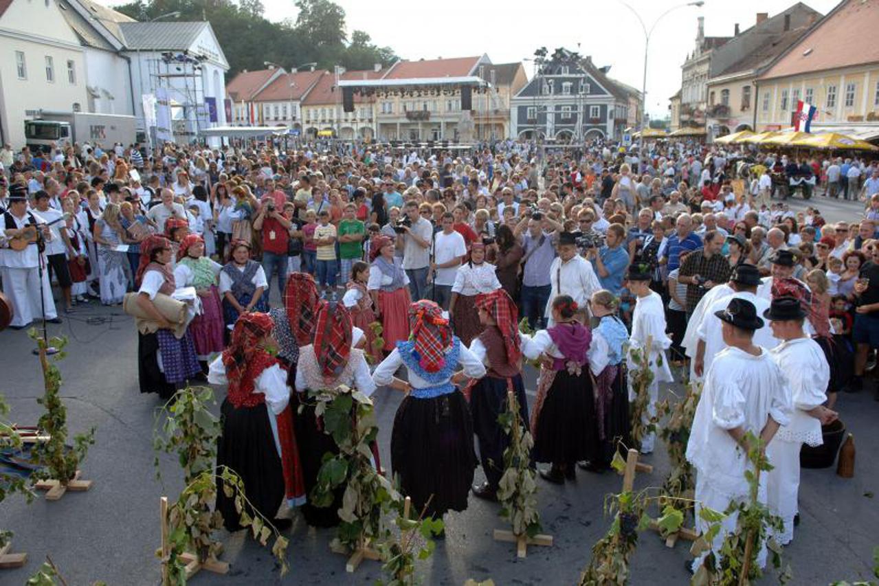 zlatne žice slavonije (1)