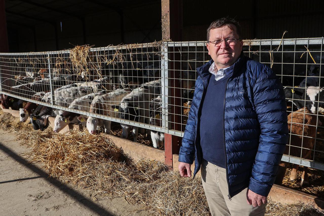 Križ: Farma goveda Zvonimir Širjan