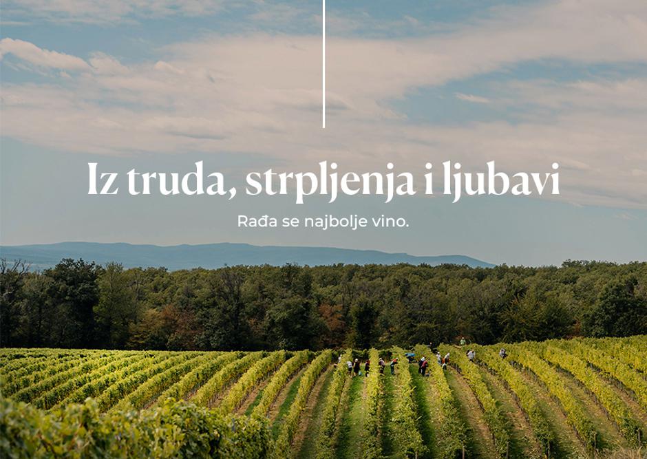 Vinarija Kutjevo