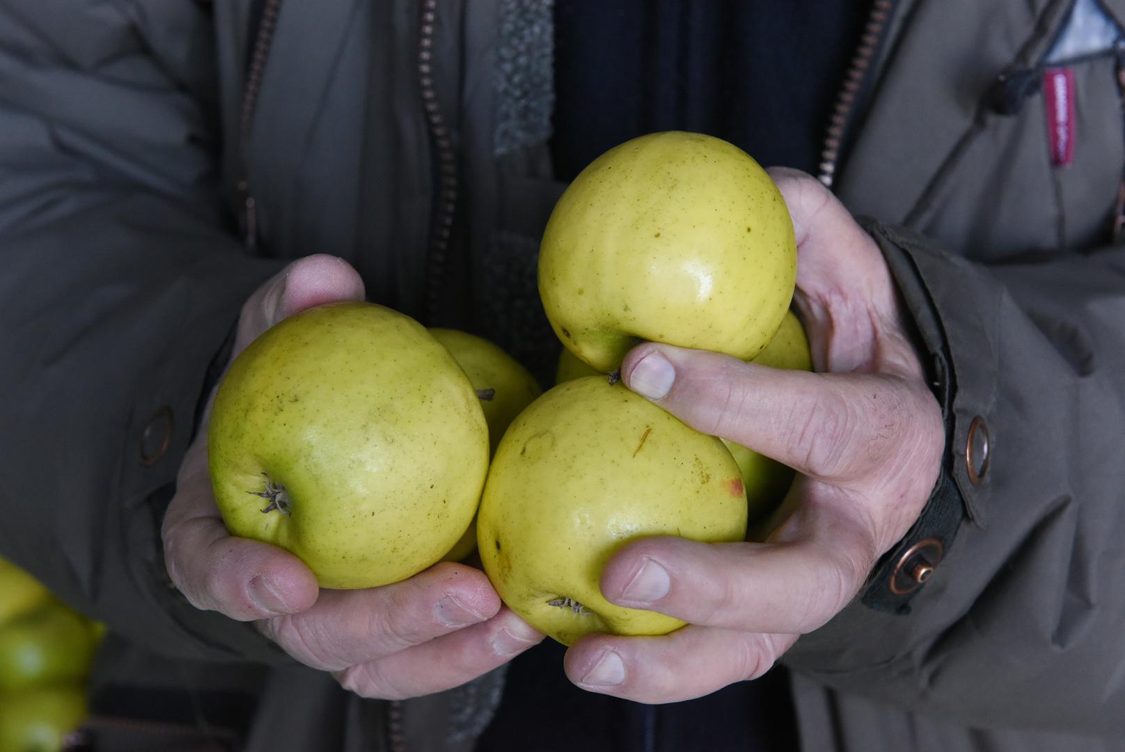 Znanstvenici stalno upozoravaju koju hranu nikako ne biste trebali jesti, a mi vam donosimo popis što izbjegavati. Na vrhu popisa su industrijski uzgojene jabuke tretirane pesticidima.
