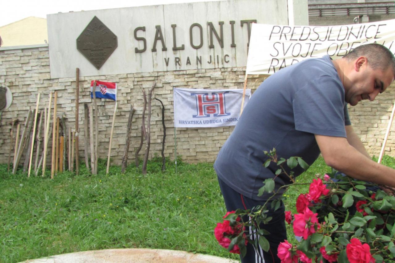 '10.05.2010. Vranjic. Radnici Salonita odrzali pred tvornicom mirni prosvjed s cvijecem u rukama i pripremljenim toljagama. Photo: Ivo Cagalj/PIXSELL'