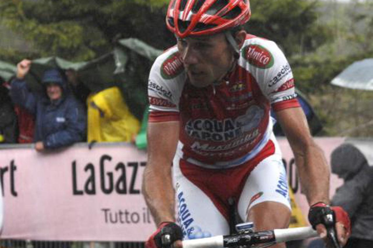 vladimir miholjević
