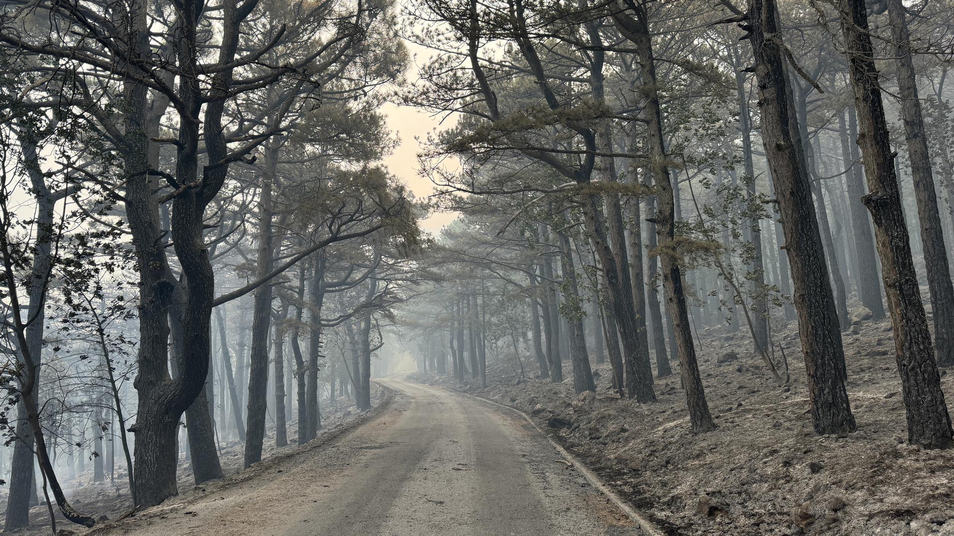 (Park prirode Biokovo)