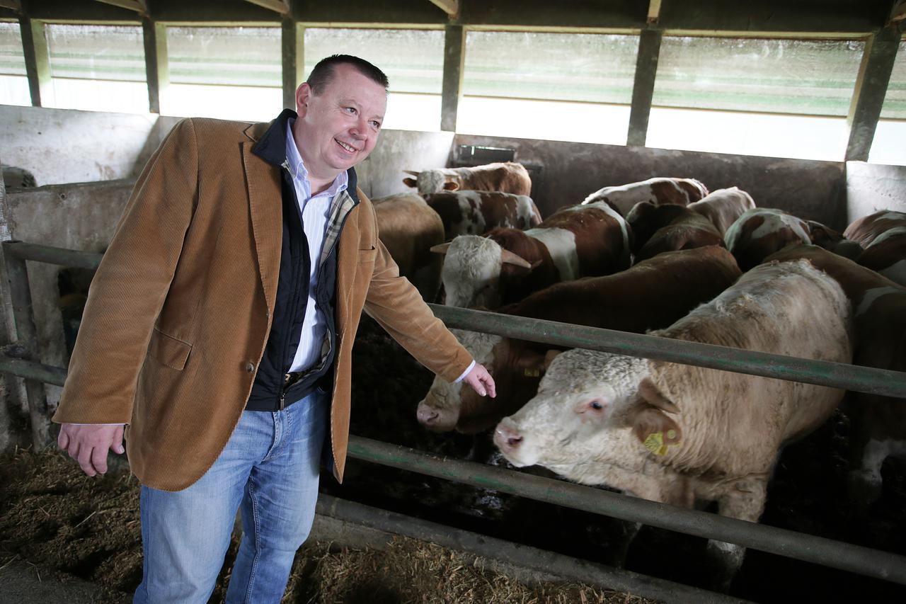 11.03.2015., Vrbovec - Bivsi ministar u Vladi RH Bozidar Pankretic danas je vlasnik manje farme teladi