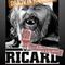 Avatar Ričard