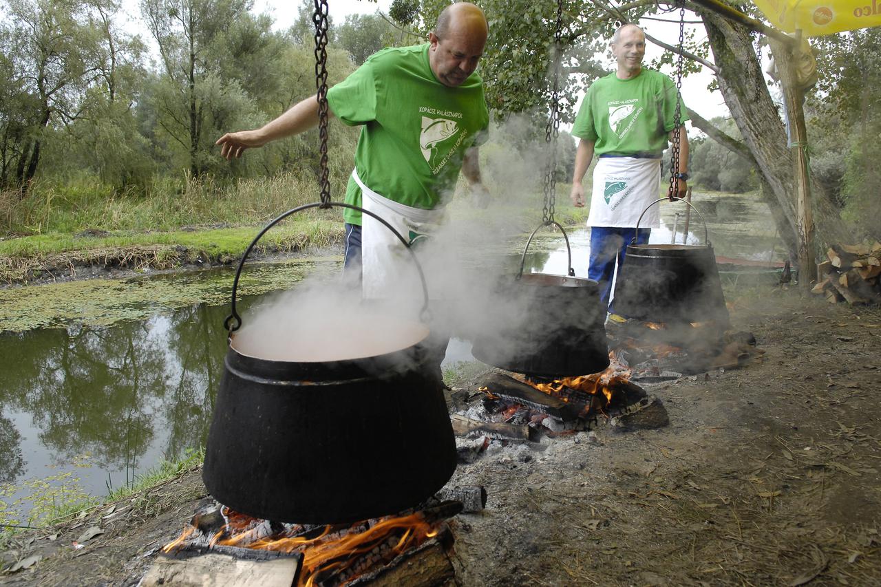 Ribarski dani u Kopačevcu