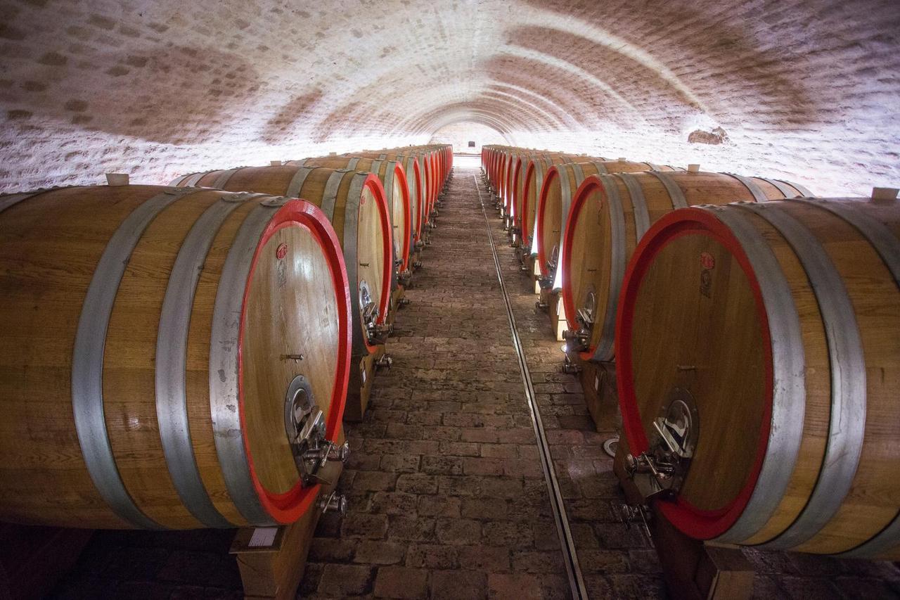Vinarija Belje i njen suvremeni pogon u Kneževim Vinogradima