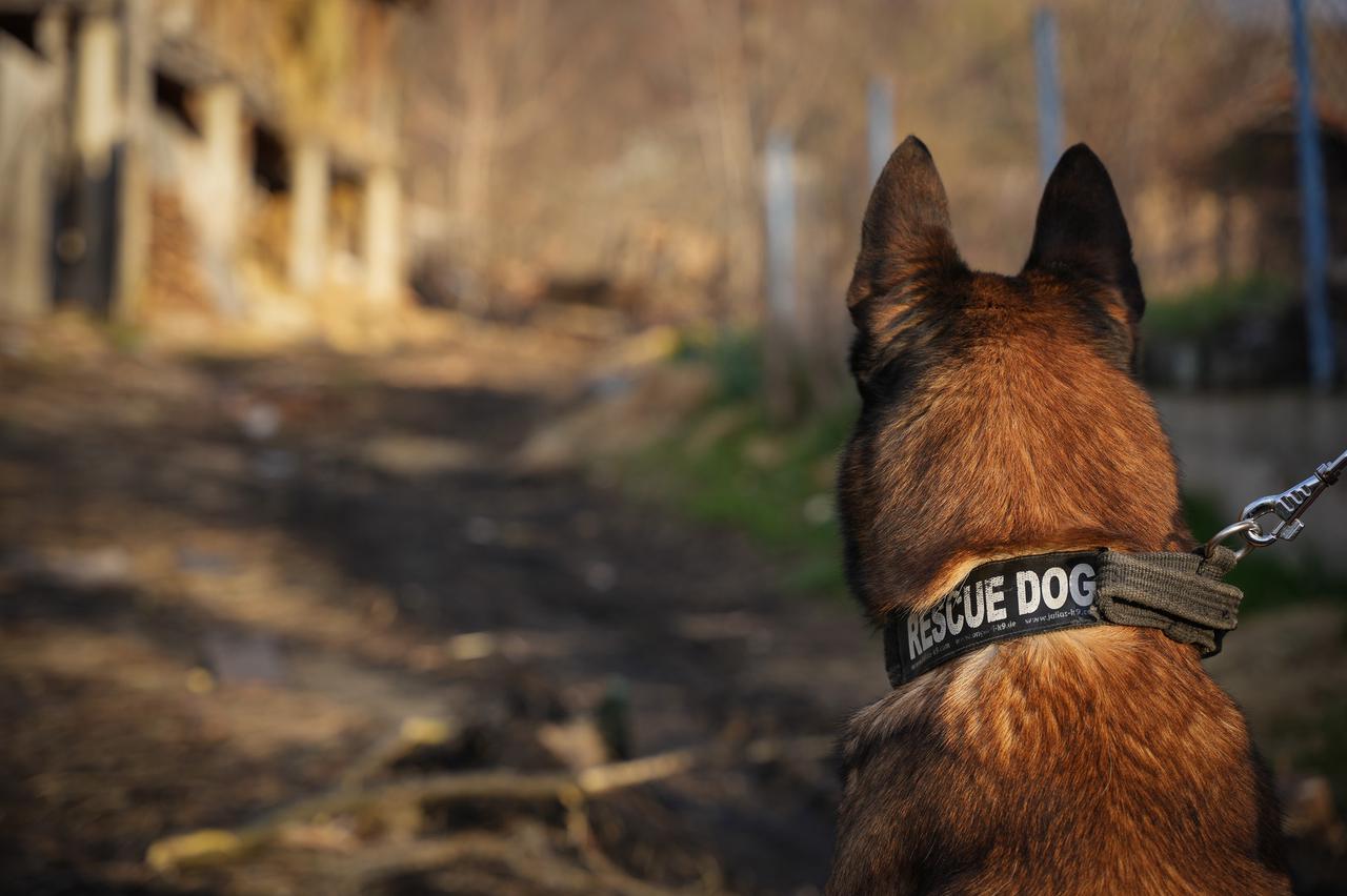 Srbija: Treći dan potrage za nestalom djevojčicom Dankom, policija kopa teren, stigao i bager