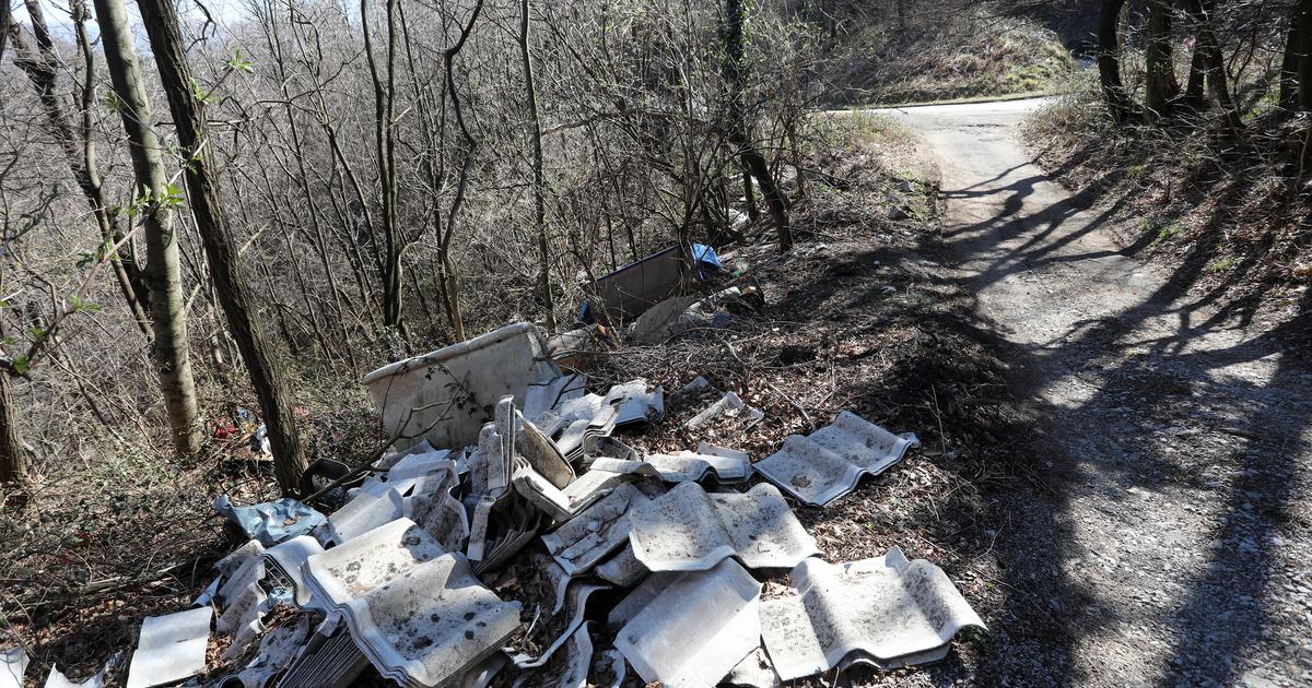 Tek su uklonili staru hrpu, a sada se pojavila nova: Sesvećani ogorčeni zbog prizora u šumi