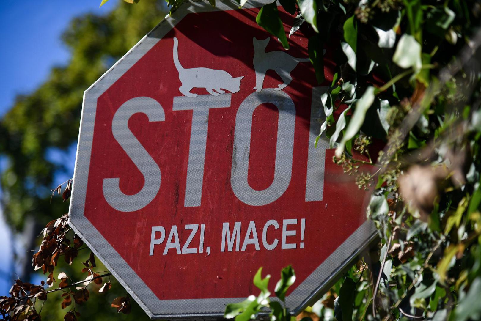 U naselju očito živi više mačaka koje barem dio vremena provode na cesti, pa je netko odlučio ovako osigurati njihovu sigurnost.