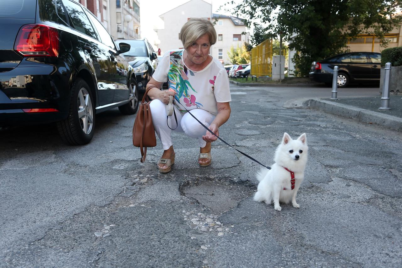 Trsatska ulica