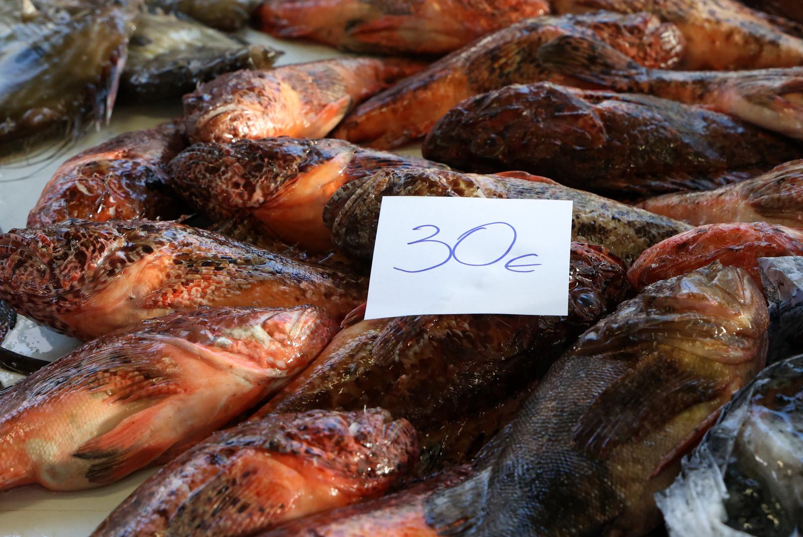 Manja divlja orada cijeni se na 25 eura, dok morski pas stoji 15 eura po kilogramu. Kozice možete nabaviti po cijeni od 12 eura, a škampi su 20 eura. 