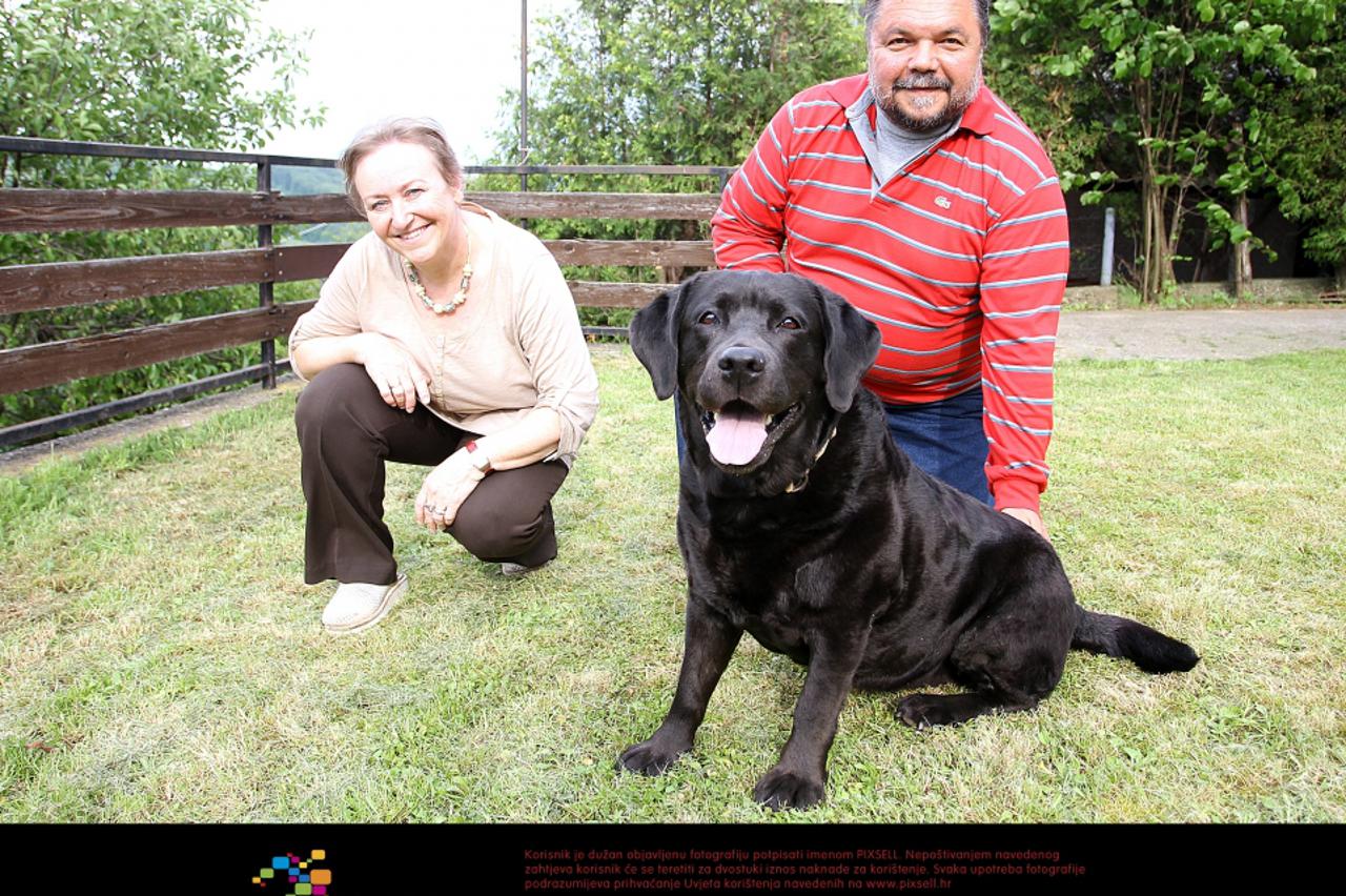 frida,labradorica,epilepsija