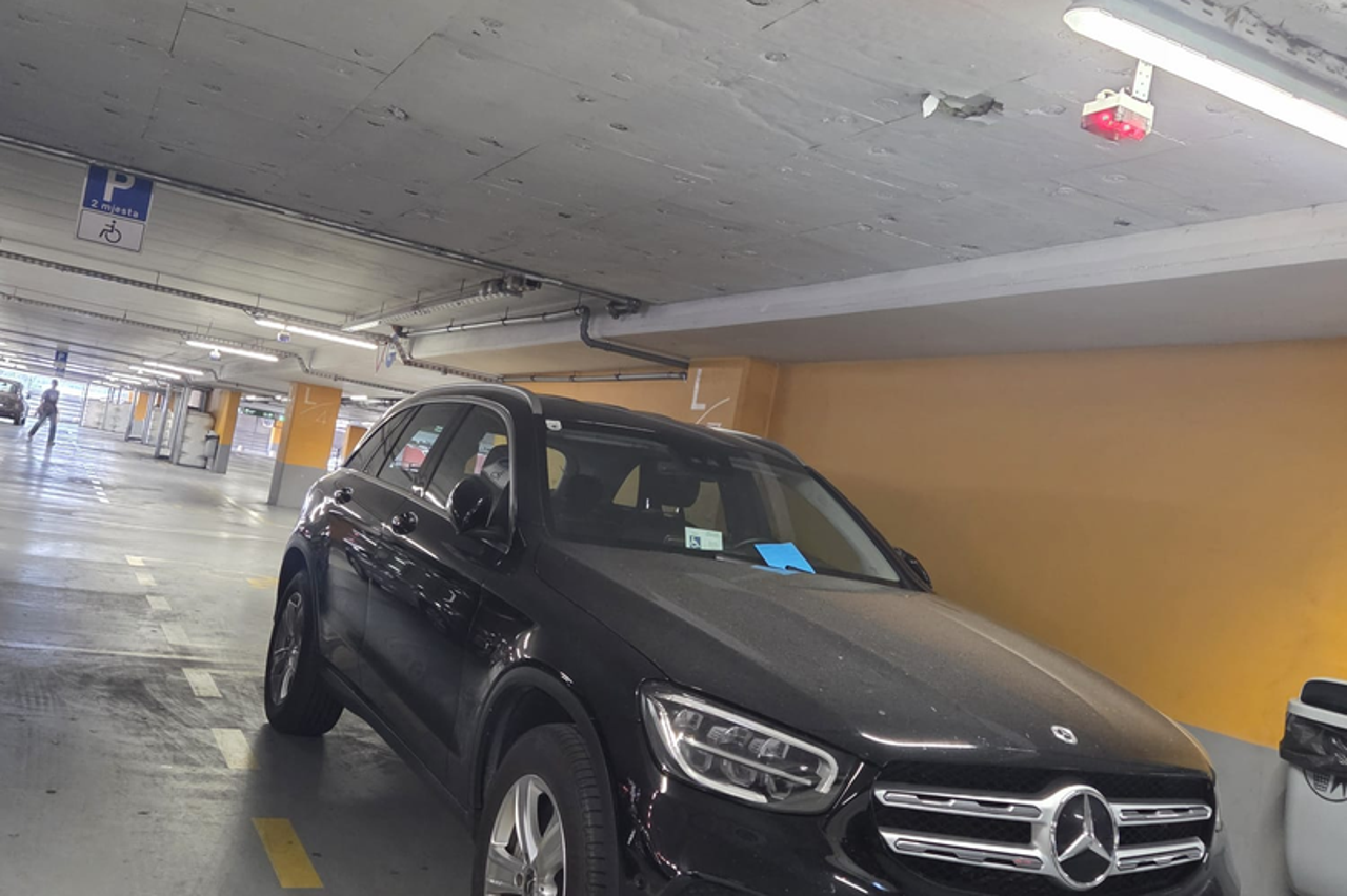 Pas u automobilu