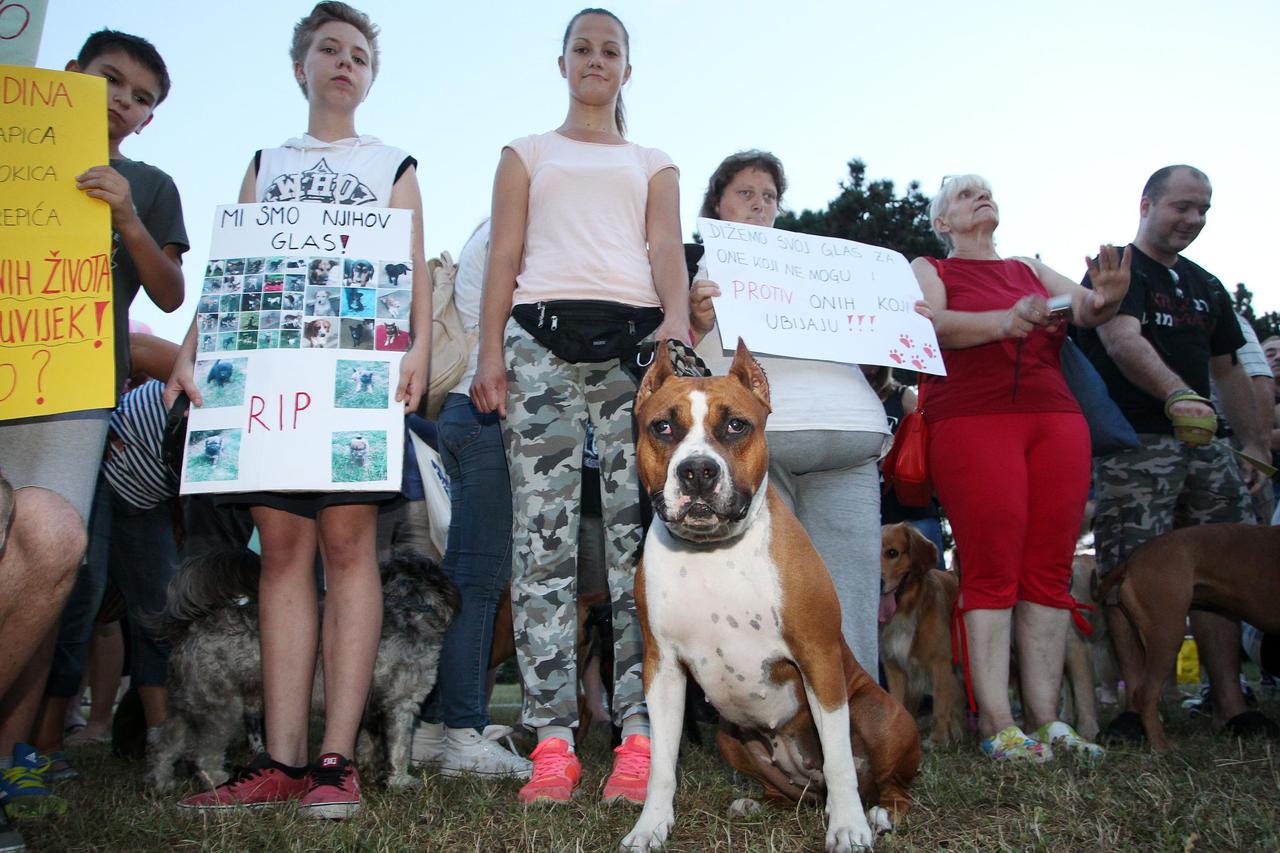 Protest protiv ubijanja pasa