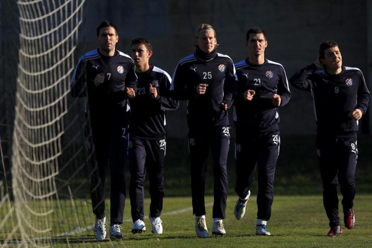 dinamo (1)