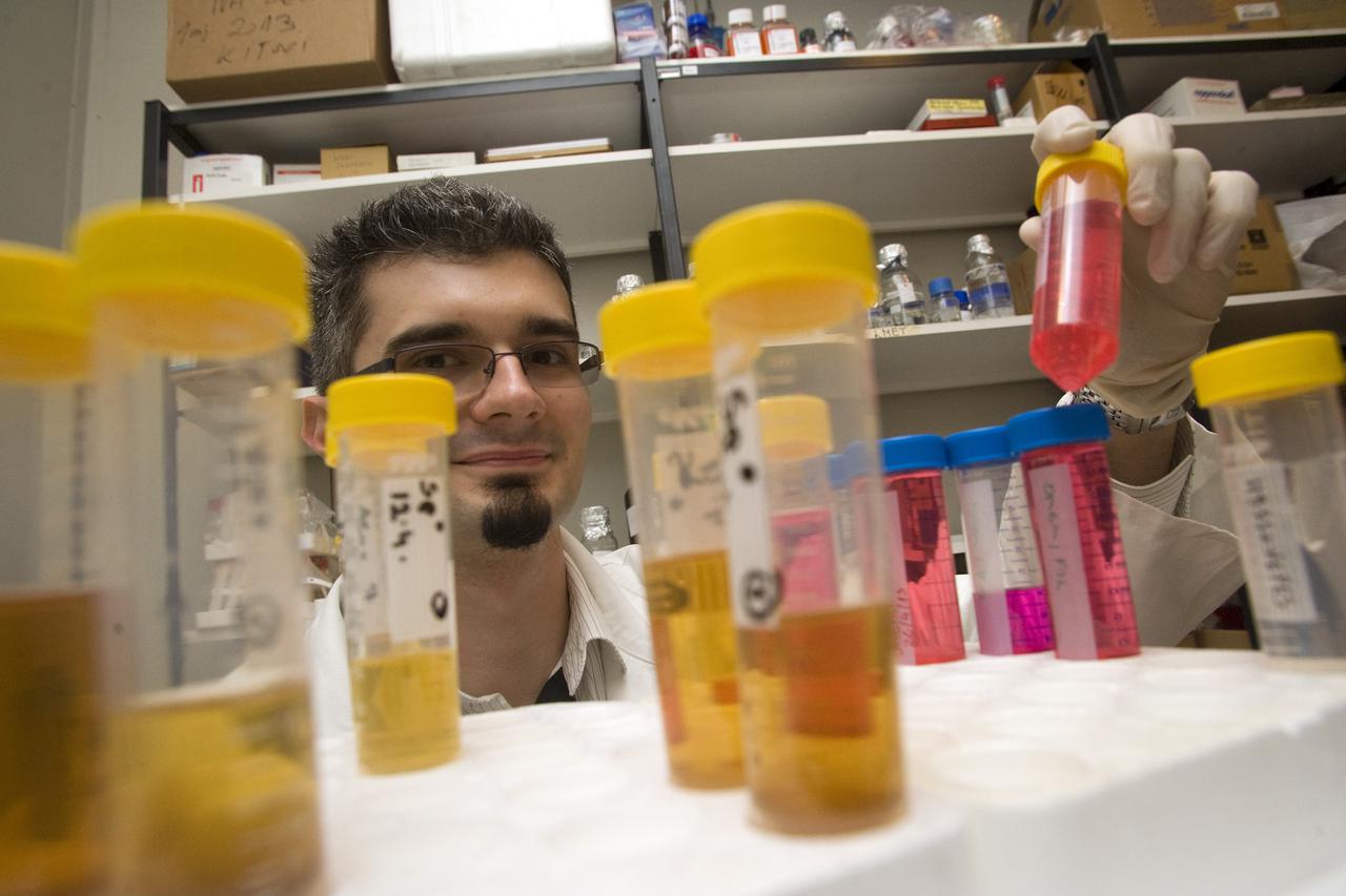 Institut Ruđer Bošković