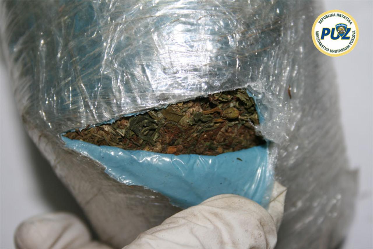 zapljena marihuane (1)