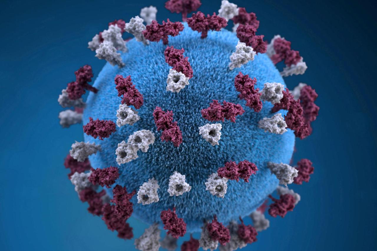 FILE PHOTO: An illustration provides a 3D graphical representation of a spherical-shaped, measles virus particle studded with glycoprotein tubercles in this handout image