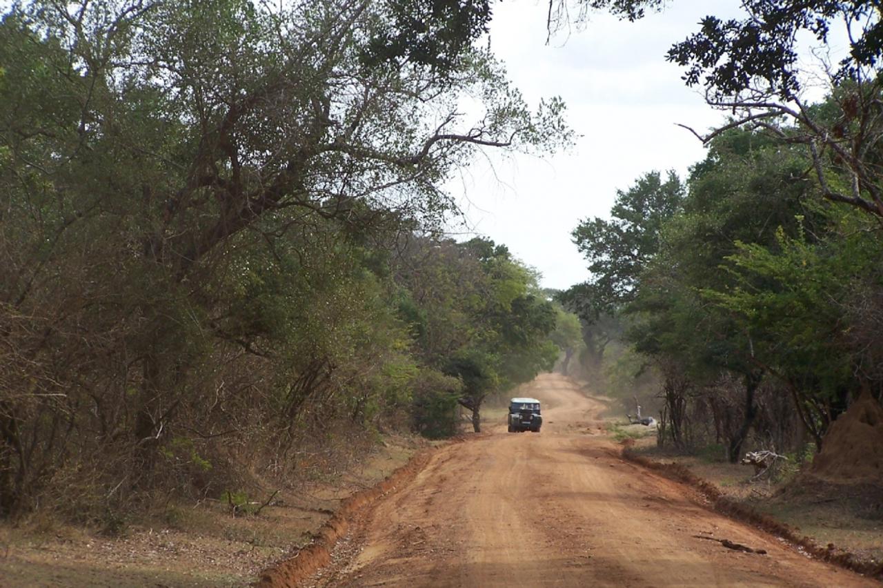 nacionalni park yala