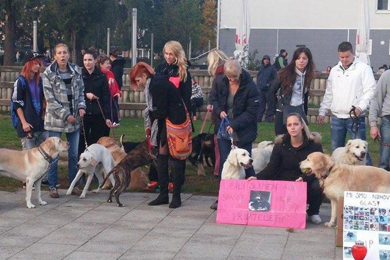 Prosvjed Velika Gorica