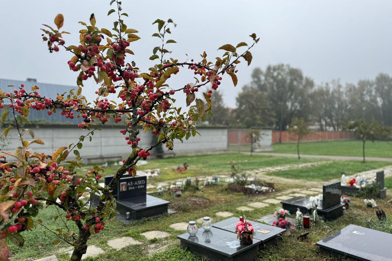 Ilustracija dječjeg vrtića