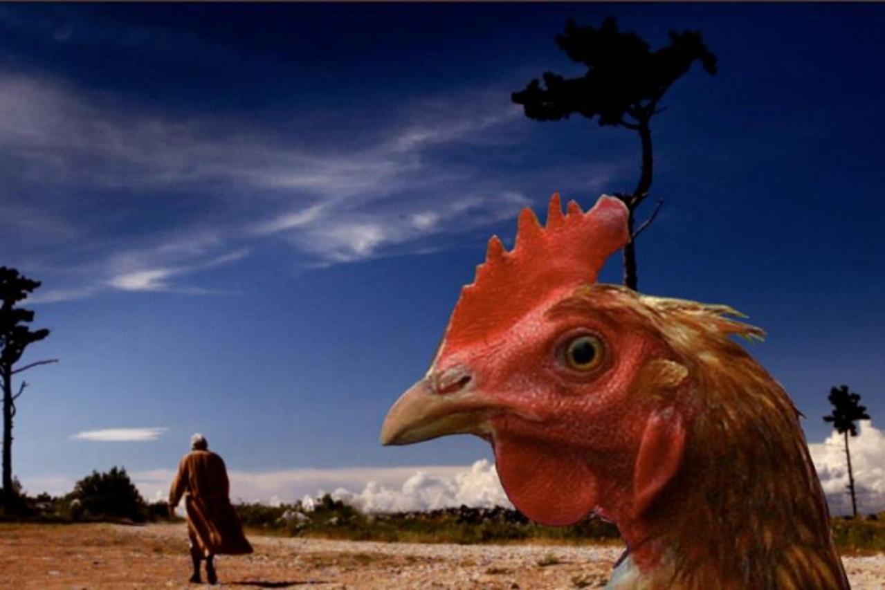 'kokos_nnn_kul_270813'