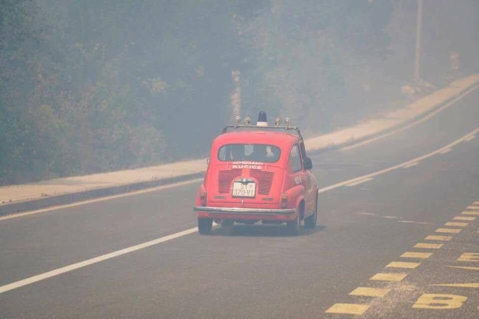 Fićo!