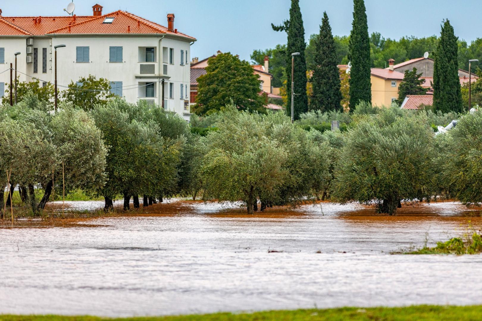 11.10.2020., Kokuletovica - Velike kolicine kise stvorile su mjestimicne probleme u prometu i poplavile su neke maslinike te vinograde.
Photo: Srecko Niketic/PIXSELL