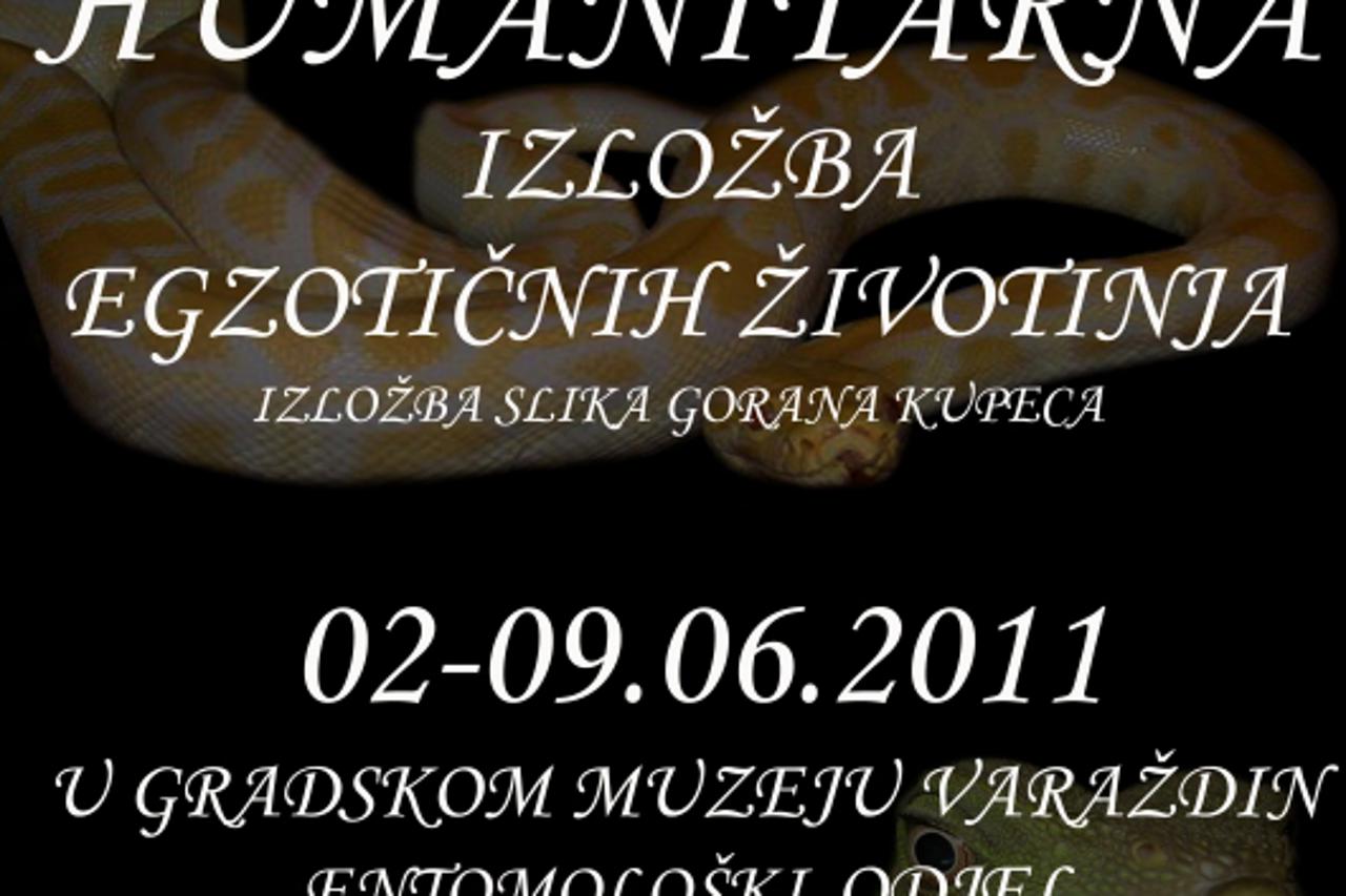 izložba 