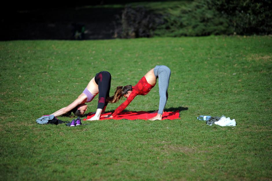 Top namirnice za vaše mišiće
