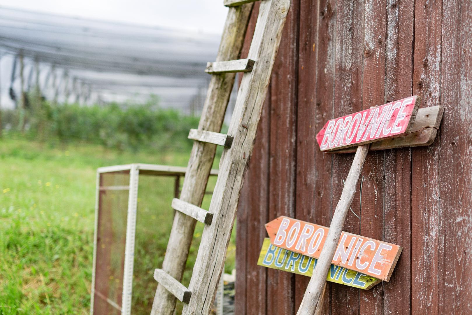 Nemojte tik uz kuću ostavljati predmete koji omogućavaju lakše penjanje, poput ljestava ili sanduka.