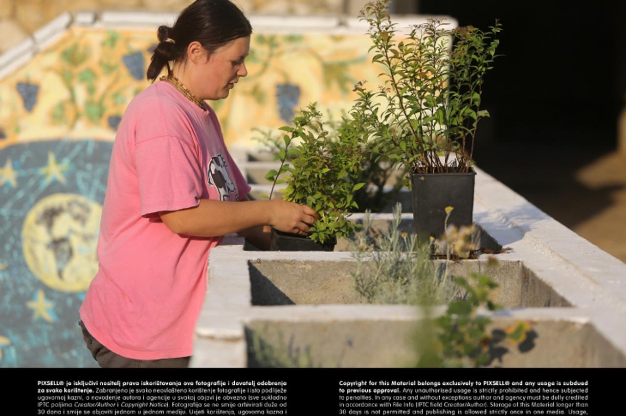 'SPECIJAL DOM I VRT  27.09.2013., Zadar - Na Bilom brigu u Zadru mjestani uredjuju dvoriste te zasadjuju biljke kako bi zivjeli u sto lijepsem okruzenju. Photo: Filip Brala/PIXSELL'