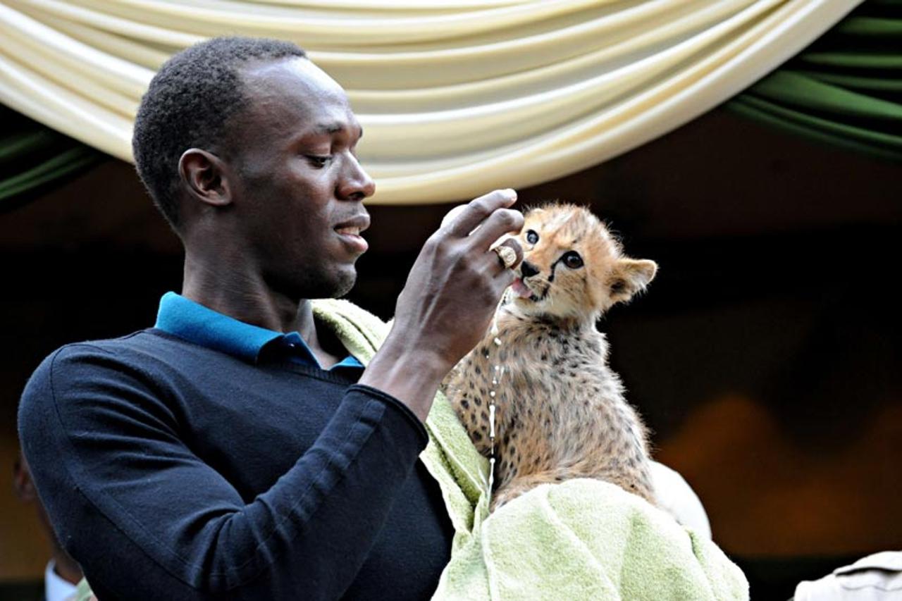 usain bolt